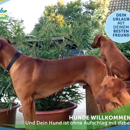 Firmen-familien-villa